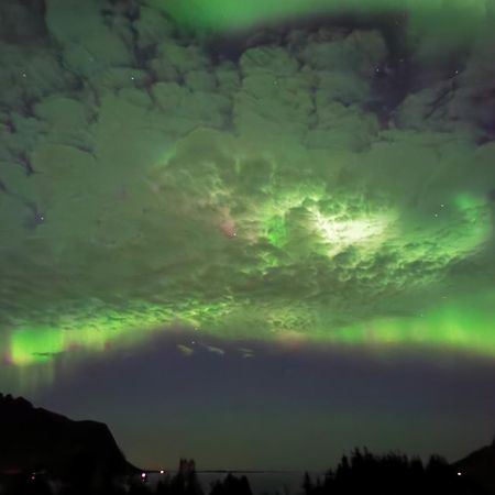 Appartamento Rystad Midnight Sun And Nature Esterno foto