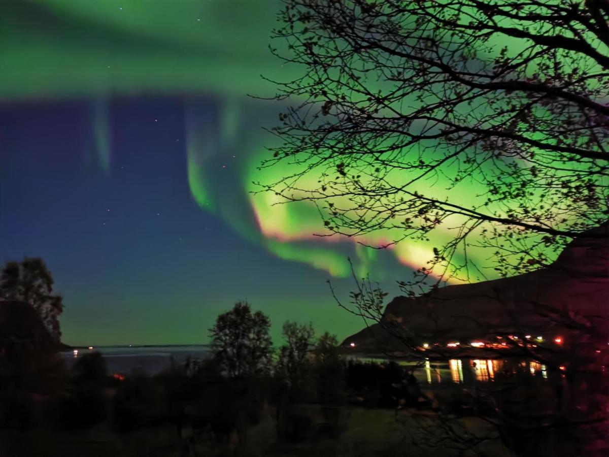 Appartamento Rystad Midnight Sun And Nature Esterno foto
