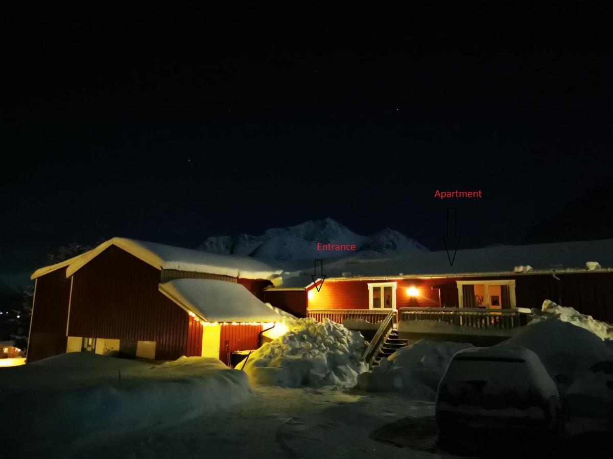 Appartamento Rystad Midnight Sun And Nature Esterno foto