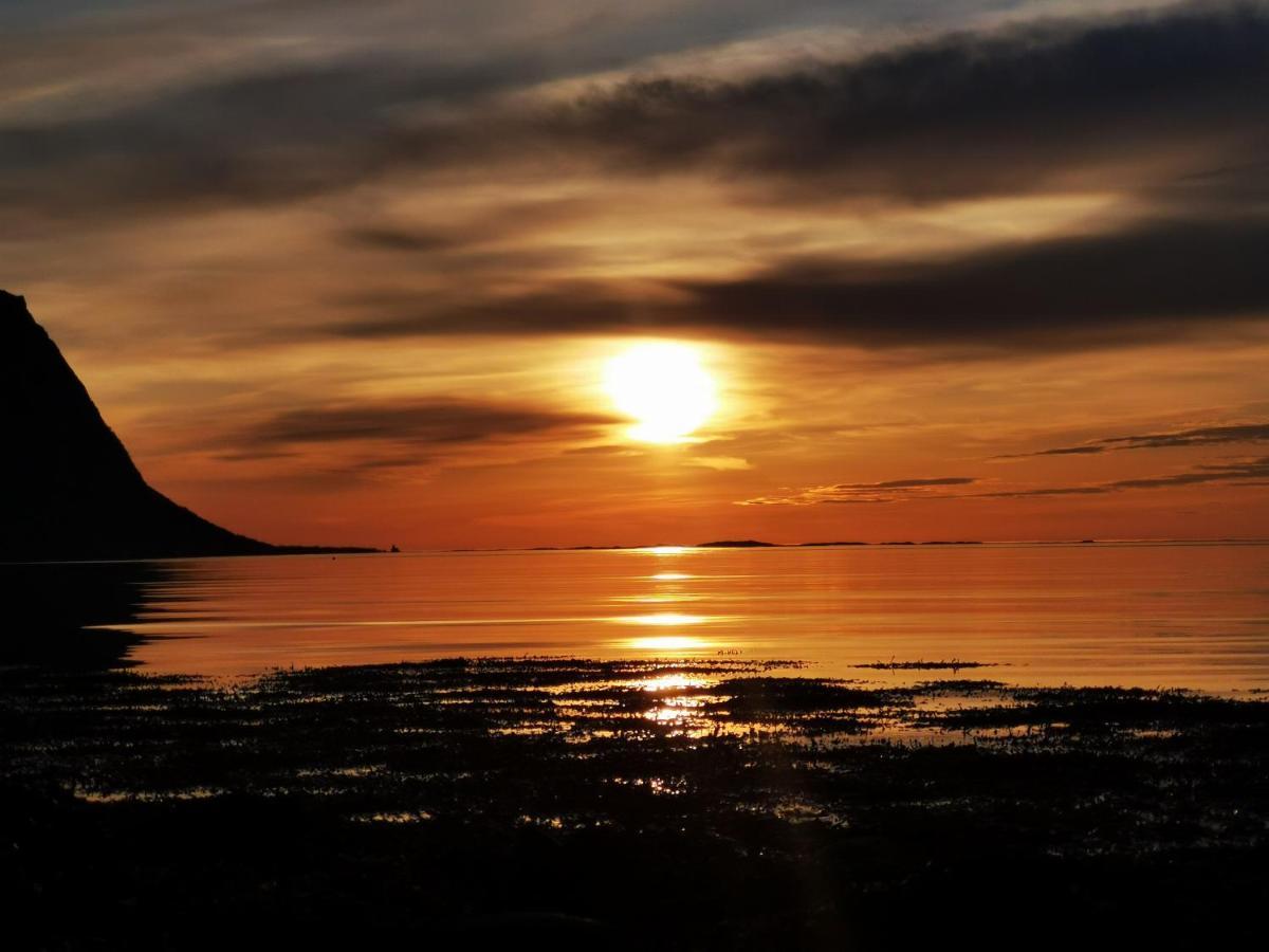 Appartamento Rystad Midnight Sun And Nature Esterno foto